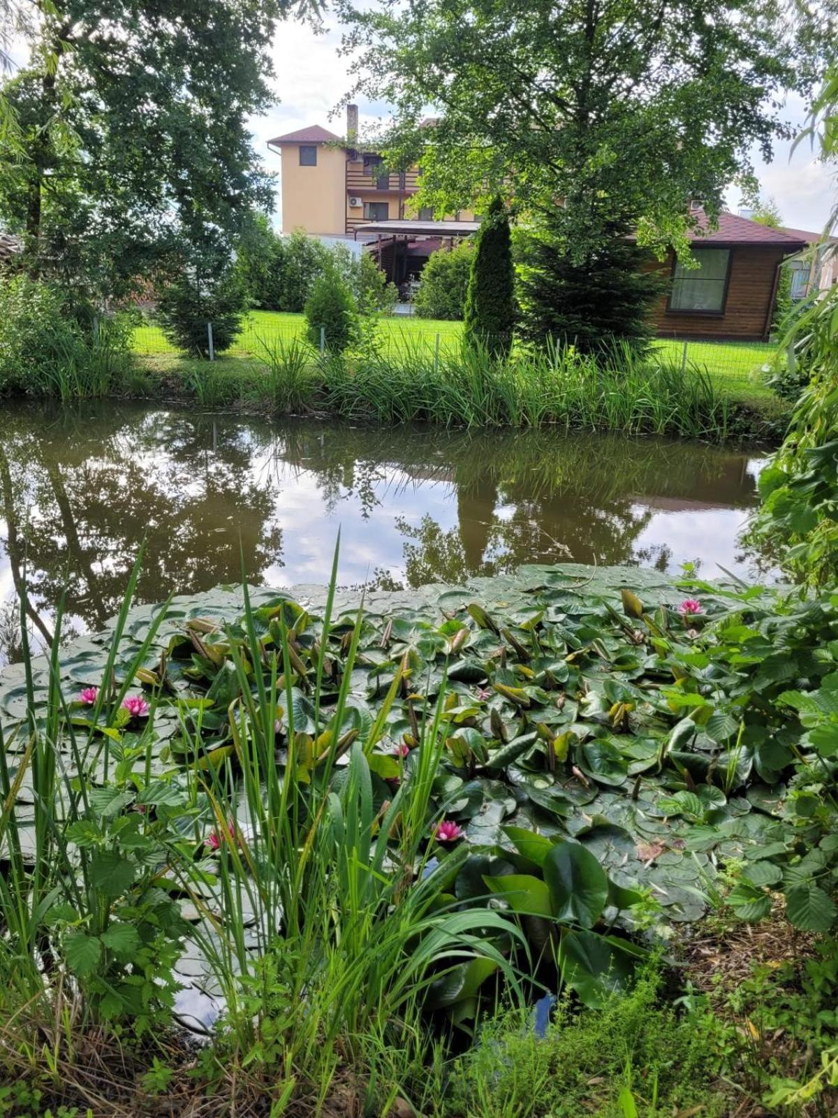 Hanul Lui Bogdan Economy INN Făget Extérieur photo